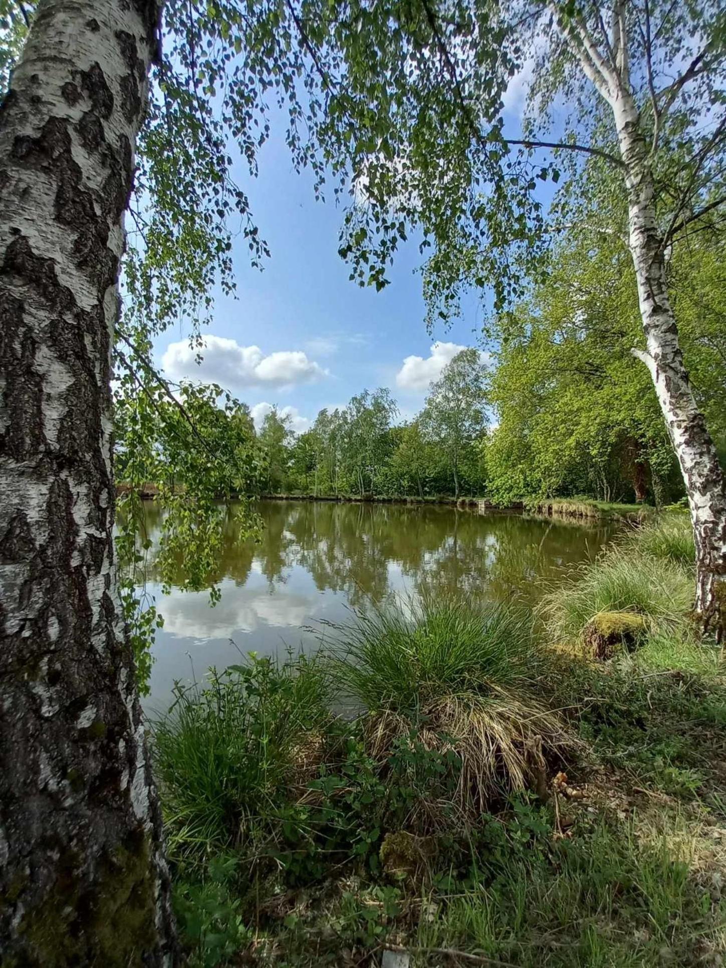 Le Chalet Limousin Folles Exteriör bild